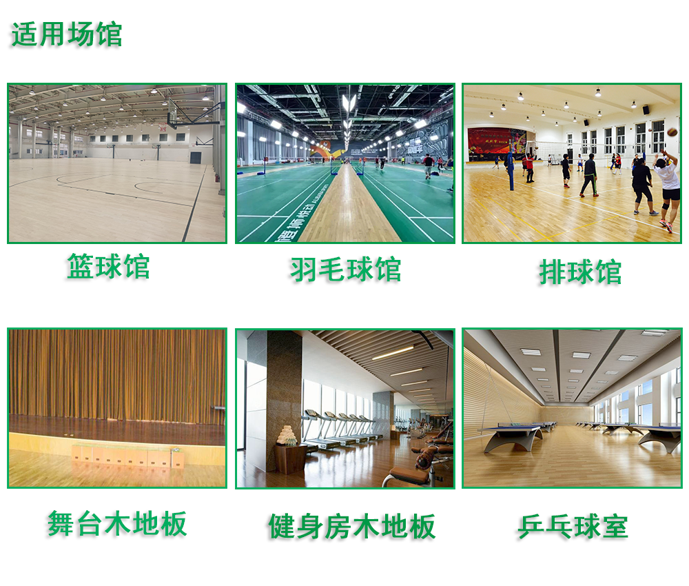 室內木地板籃球場